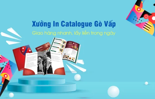 Dịch Vụ In Catalogue Gò Vấp Uy Tín, Chất Lượng Hàng Đầu