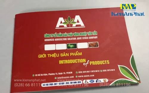 Mẫu in catalogue Phường An Nhơn lấy liền 2025