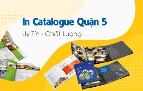 In Catalogue Quận 5 Chất Lượng, Giao Hàng 24/7