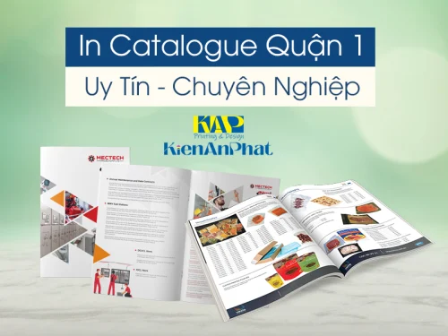 In Catalogue Quận 1 uy tín Giá từ 2.000đ/cuốn