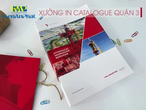 Xưởng In Catalogue Quận 3 giá Cực rẻ. Giao hàng trong ngày!