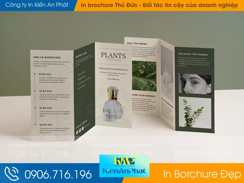 Xưởng in brochure Thủ Đức: Kiến An Phát – Đối tác tin cậy của doanh nghiệp